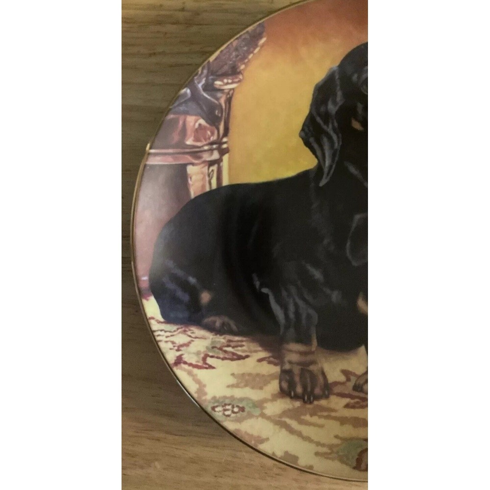 Danbury Mint Limited Edition Collection Plates Dachshunds, Pride And Joy, A5735 - Picture 4 of 8
